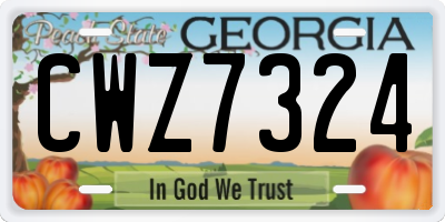 GA license plate CWZ7324