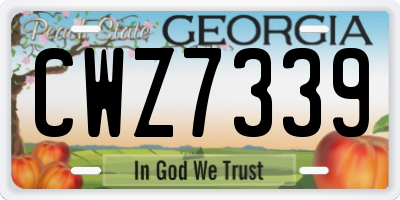 GA license plate CWZ7339