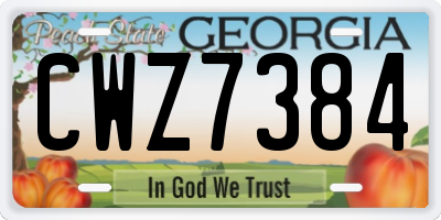 GA license plate CWZ7384