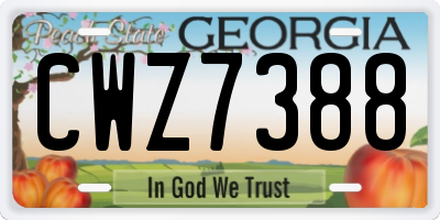 GA license plate CWZ7388