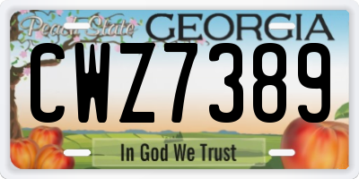 GA license plate CWZ7389