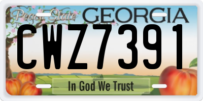 GA license plate CWZ7391
