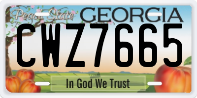 GA license plate CWZ7665