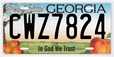 GA license plate CWZ7824