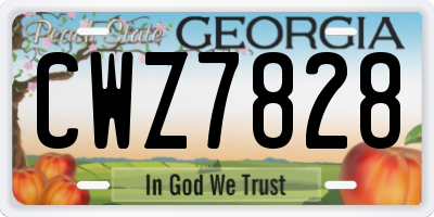 GA license plate CWZ7828