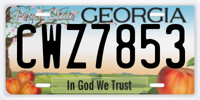 GA license plate CWZ7853