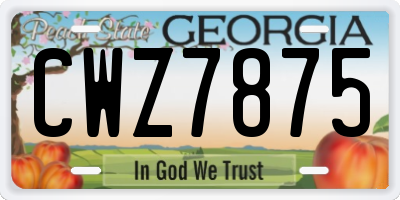 GA license plate CWZ7875