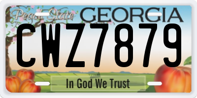 GA license plate CWZ7879