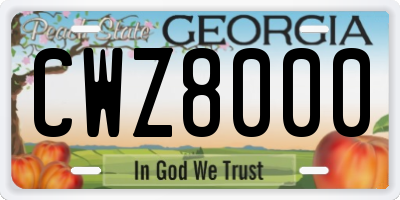 GA license plate CWZ8000