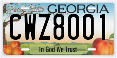 GA license plate CWZ8001