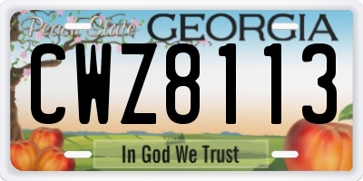 GA license plate CWZ8113