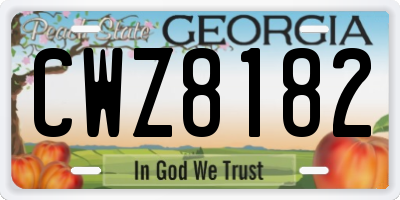 GA license plate CWZ8182