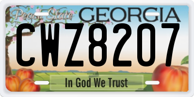 GA license plate CWZ8207