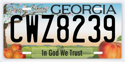 GA license plate CWZ8239