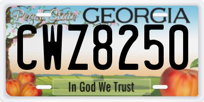 GA license plate CWZ8250