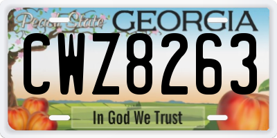 GA license plate CWZ8263