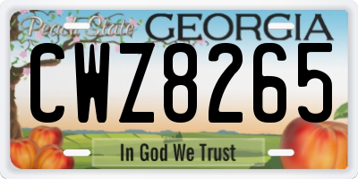 GA license plate CWZ8265