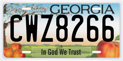 GA license plate CWZ8266