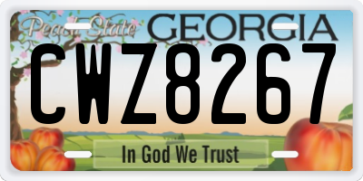 GA license plate CWZ8267