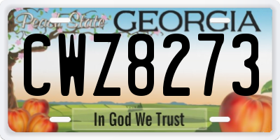 GA license plate CWZ8273