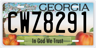 GA license plate CWZ8291