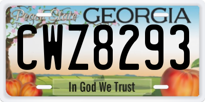 GA license plate CWZ8293
