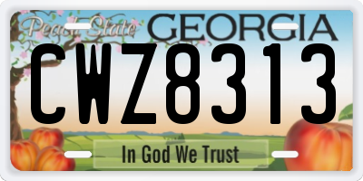GA license plate CWZ8313