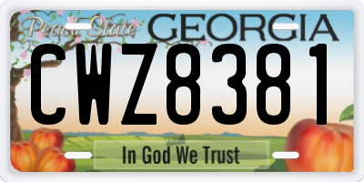 GA license plate CWZ8381