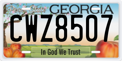 GA license plate CWZ8507