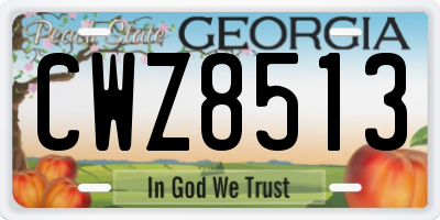 GA license plate CWZ8513