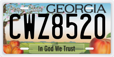 GA license plate CWZ8520