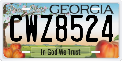 GA license plate CWZ8524