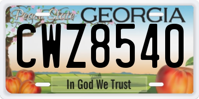 GA license plate CWZ8540