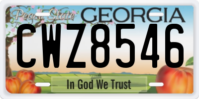 GA license plate CWZ8546