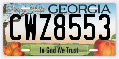 GA license plate CWZ8553