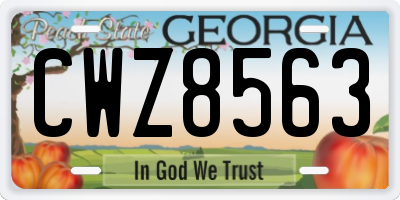 GA license plate CWZ8563