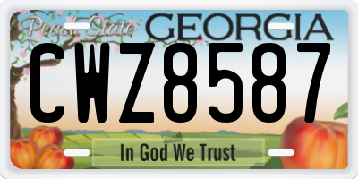 GA license plate CWZ8587