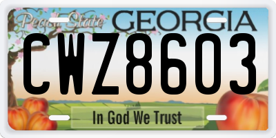 GA license plate CWZ8603
