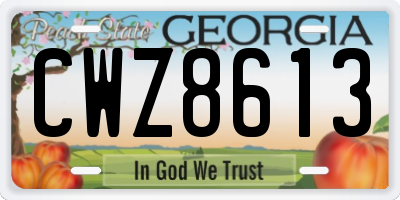 GA license plate CWZ8613