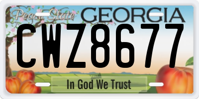 GA license plate CWZ8677