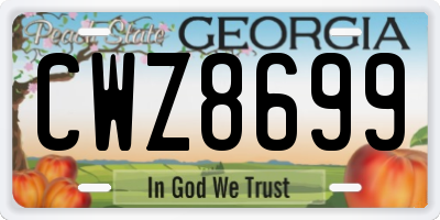 GA license plate CWZ8699