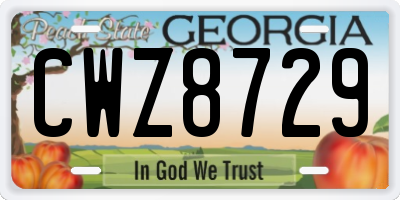 GA license plate CWZ8729