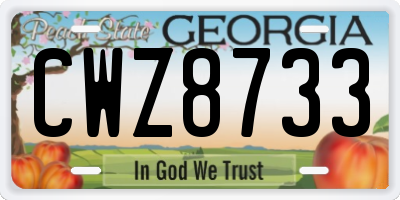 GA license plate CWZ8733