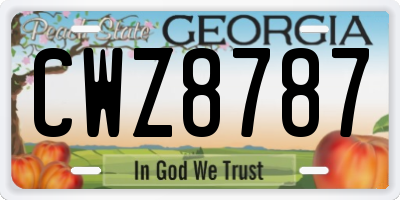 GA license plate CWZ8787
