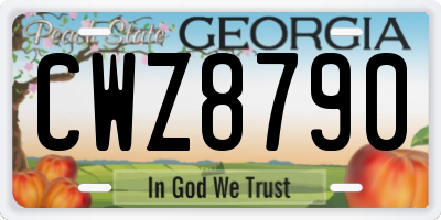 GA license plate CWZ8790