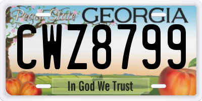GA license plate CWZ8799