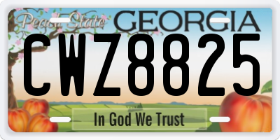 GA license plate CWZ8825