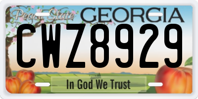 GA license plate CWZ8929