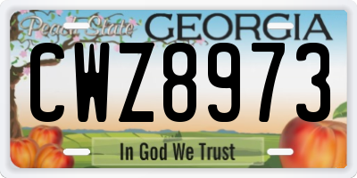 GA license plate CWZ8973