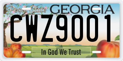 GA license plate CWZ9001